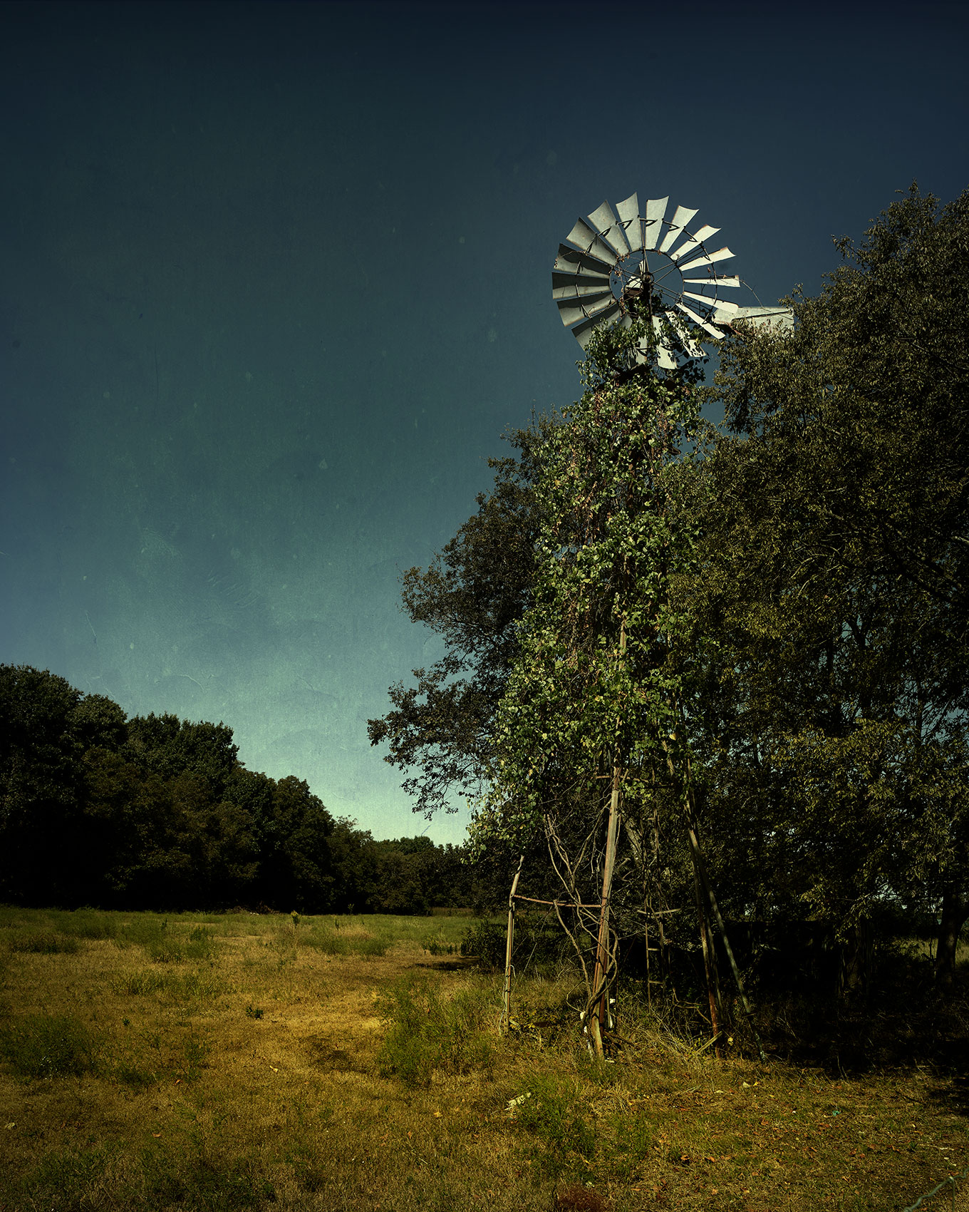 windmill.derelict.2.162